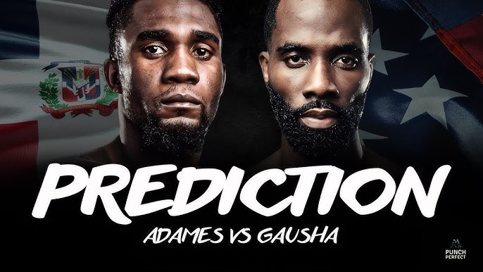 Carlos Adames vs Terrell Gausha Fight: Expert Predictions for WBC Middleweight Title