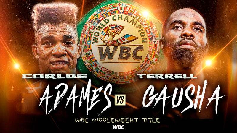 Carlos Adames vs Terrell Gausha Fight: Expert Predictions for WBC Middleweight Title