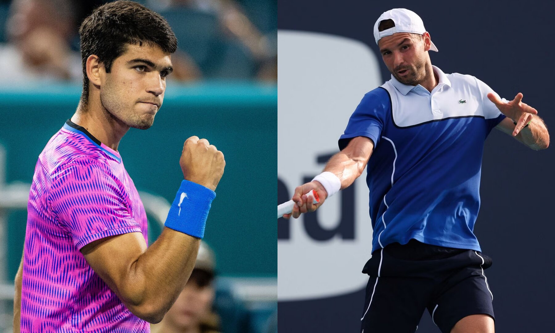 Alcaraz vs Dimitrov Prediction: Who Will Win in Their Next Clash?