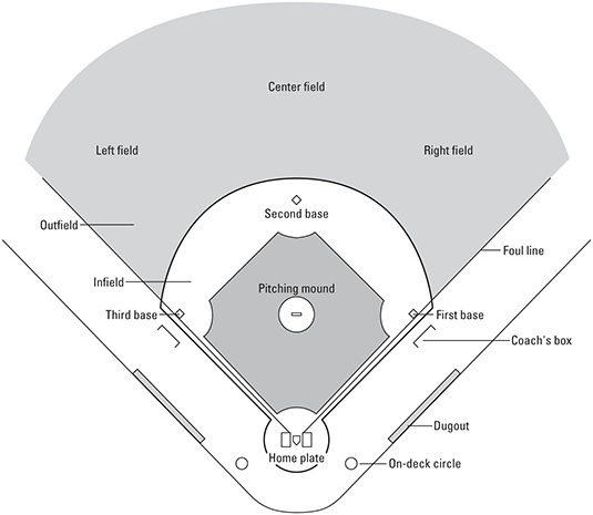 Baseball Positions by Number Explained with Easy-to-Follow Diagram
