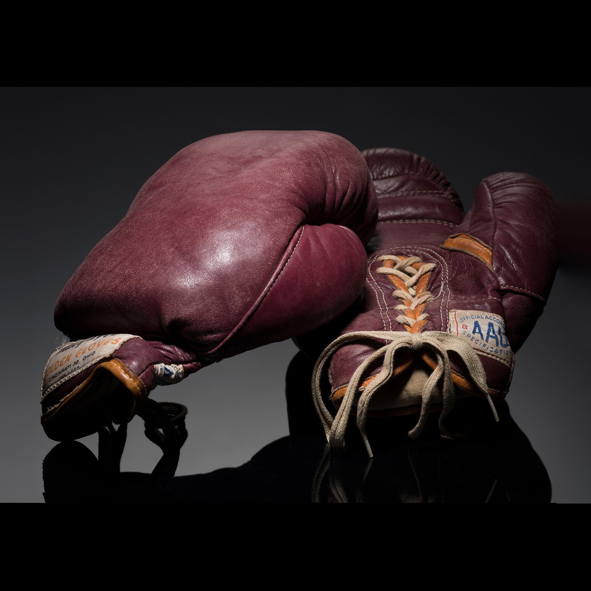 Shop Bruce Lee Boxing Gloves: Vintage, Quality & Performance