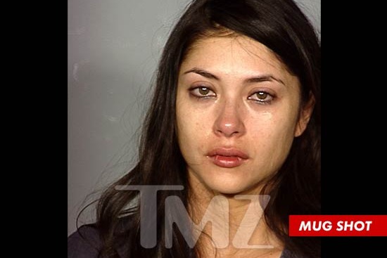 UFC Ring Girl Arianny Celeste Arrested for Domestic Violence: What Happened Next?