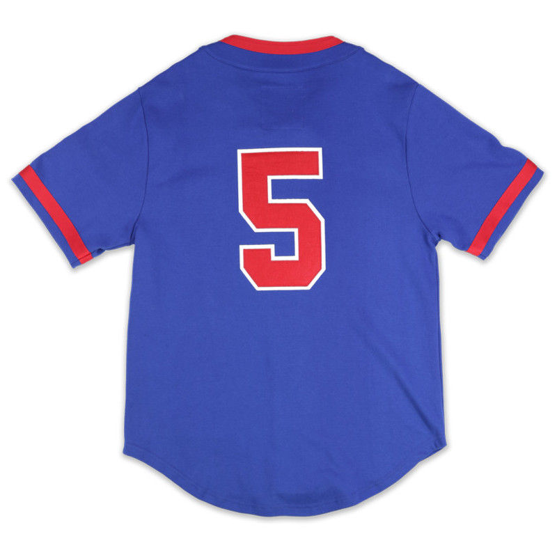 Vintage Hank Aaron Indianapolis Clowns Jersey for Collectors and Fans Alike