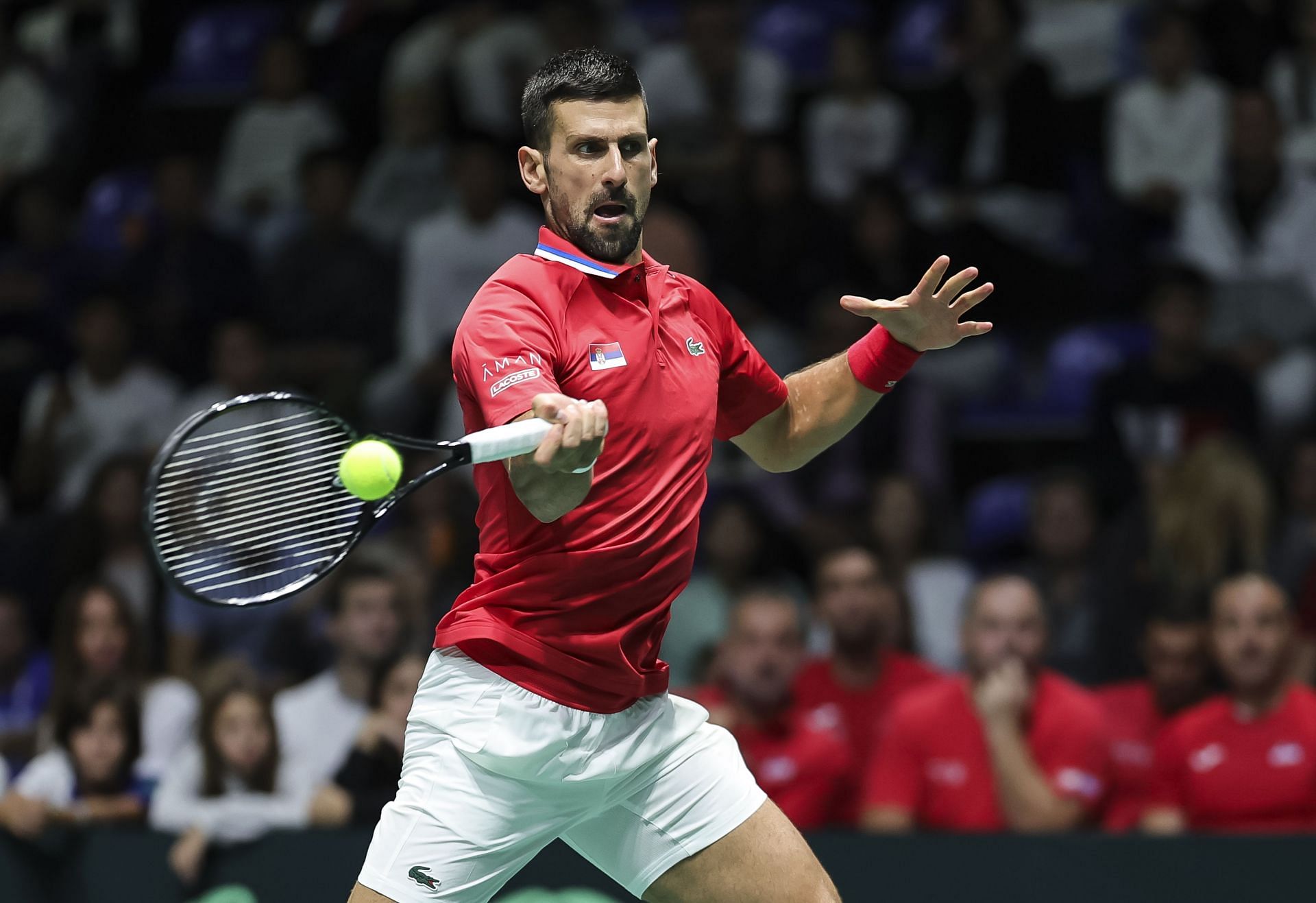 Djokovic vs Fritz Prediction: Odds, Preview & Betting Tips for Shanghai Masters