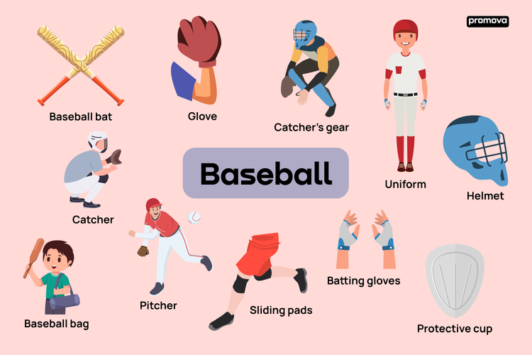 Discover Baseball Equipment Pictures and Names for Every Player