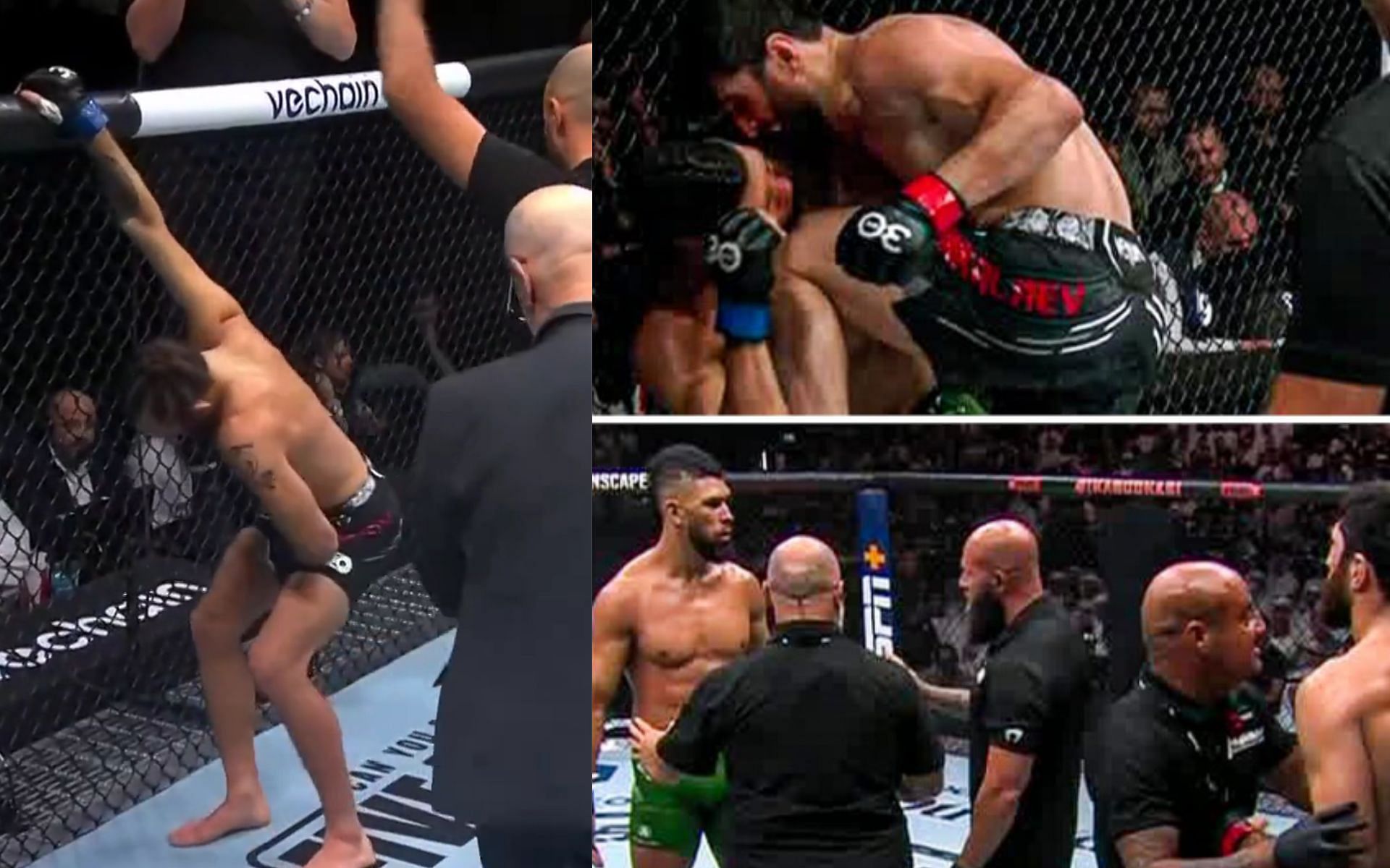 UFC No Contest Explained: Rules and Implications for Fighters