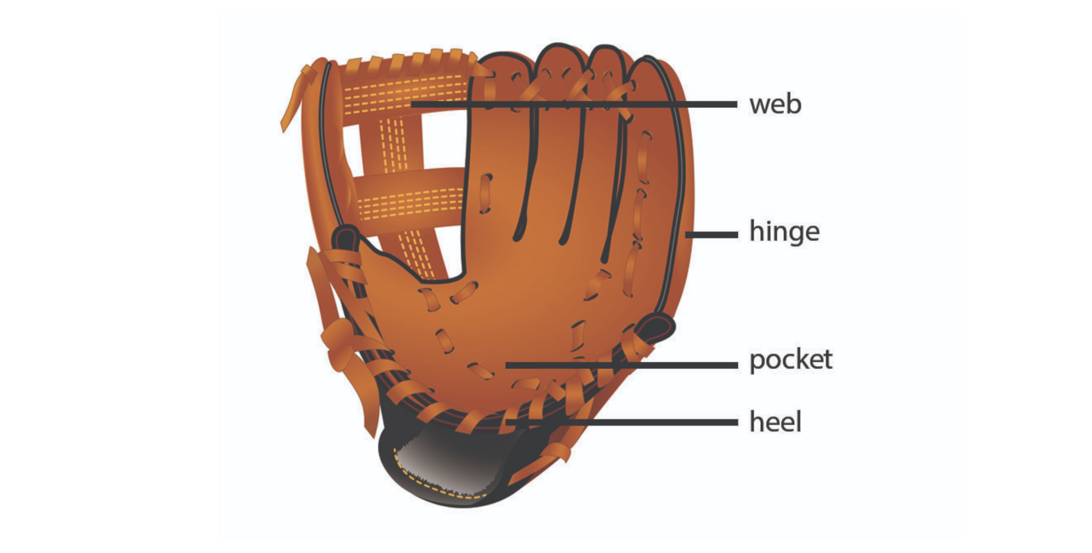 What Equipment Is Needed for Baseball? A Comprehensive Guide
