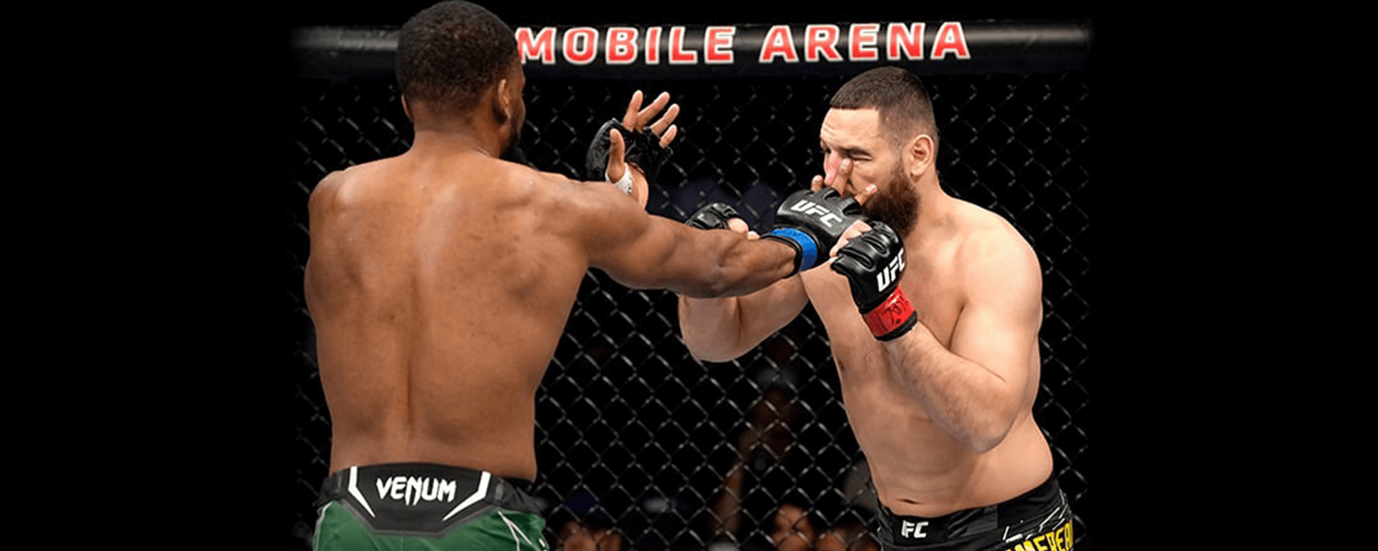 Top Illegal Moves in UFC: What Fighters Must Avoid