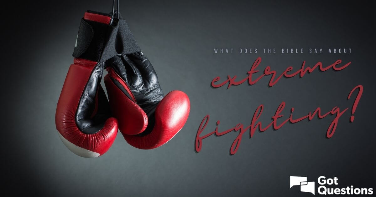 Uncovering What the Bible Says About Boxing and Fighting