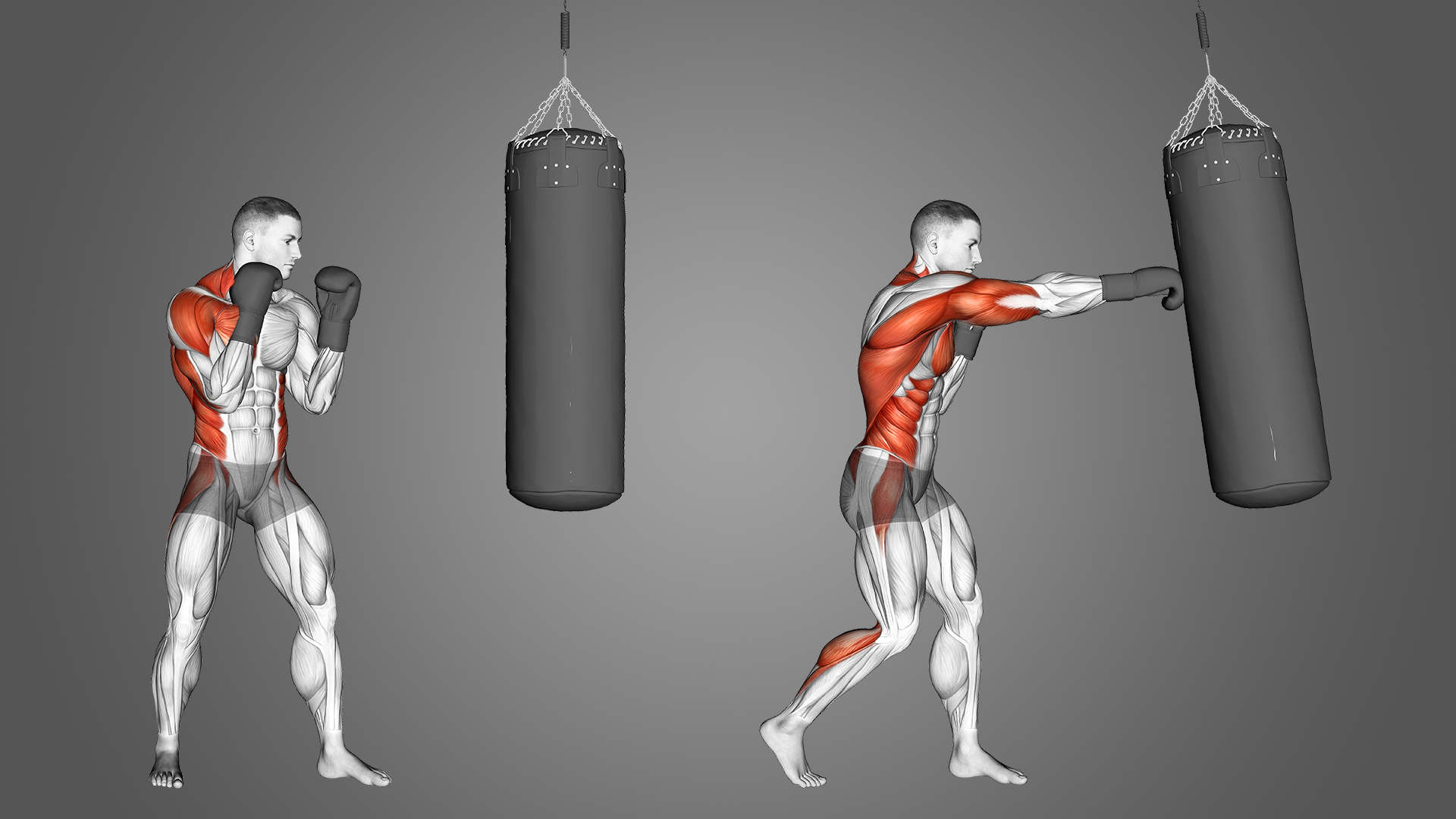 Does shadow boxing build muscle? Easy workout for a strong body!