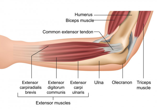 Massage for Tennis Elbow: Is It Effective? Heres What You Need to Know