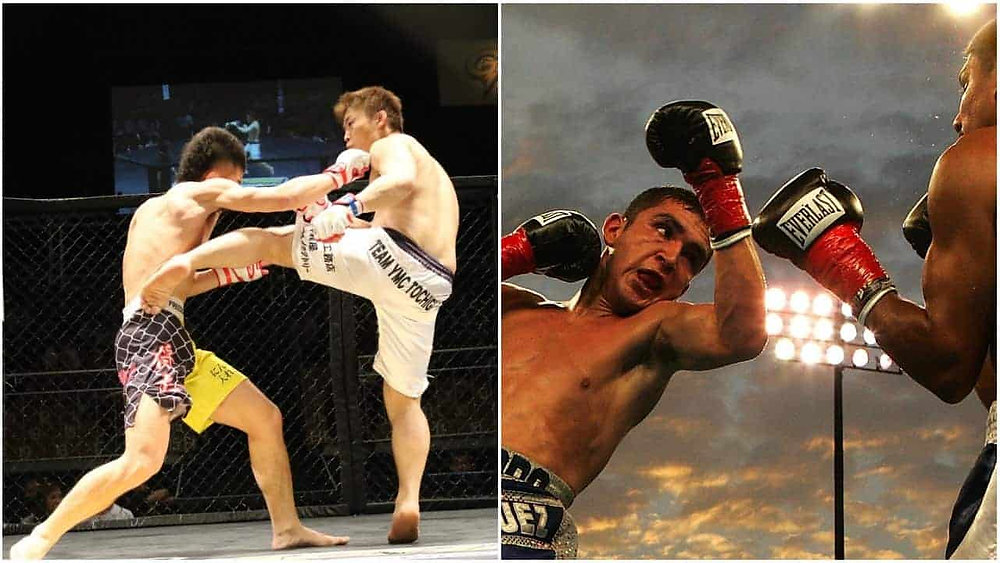 is mma more popular than boxing