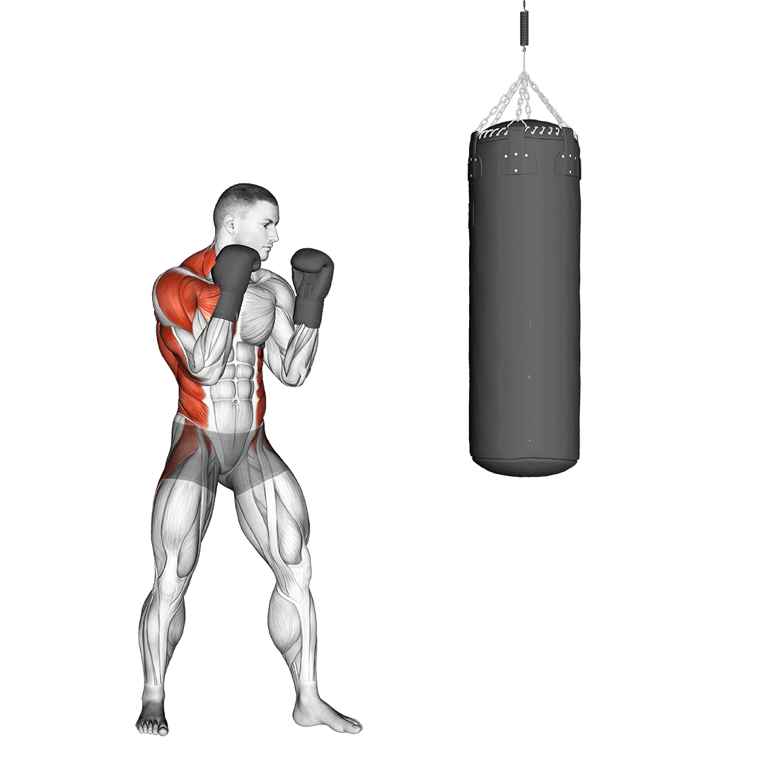 Does Boxing Build Muscle? Here is What You Need to Know!
