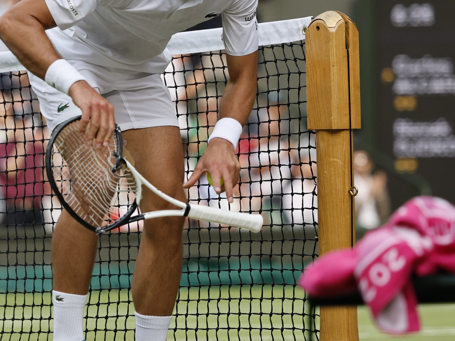How Much Is a Professional Tennis Racket? Here Are Some Costs You Should Know!