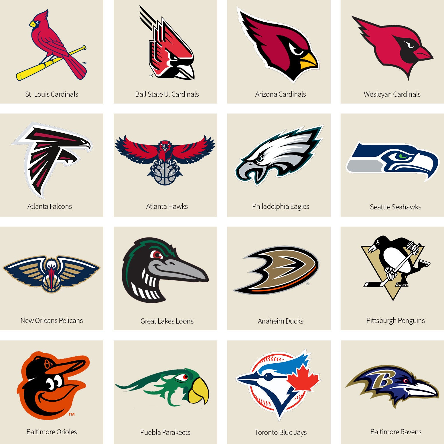 How Many NFL Teams Are Birds? You Might Be Surprised by the Answer!