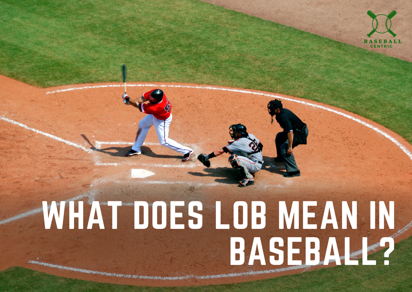 Ever Wondered What Is a Lob in Baseball? Your questions answered!