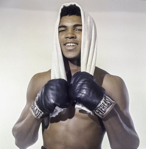 Boxer Name Guide: Discover The Boxers Biggest Wins and Losses.