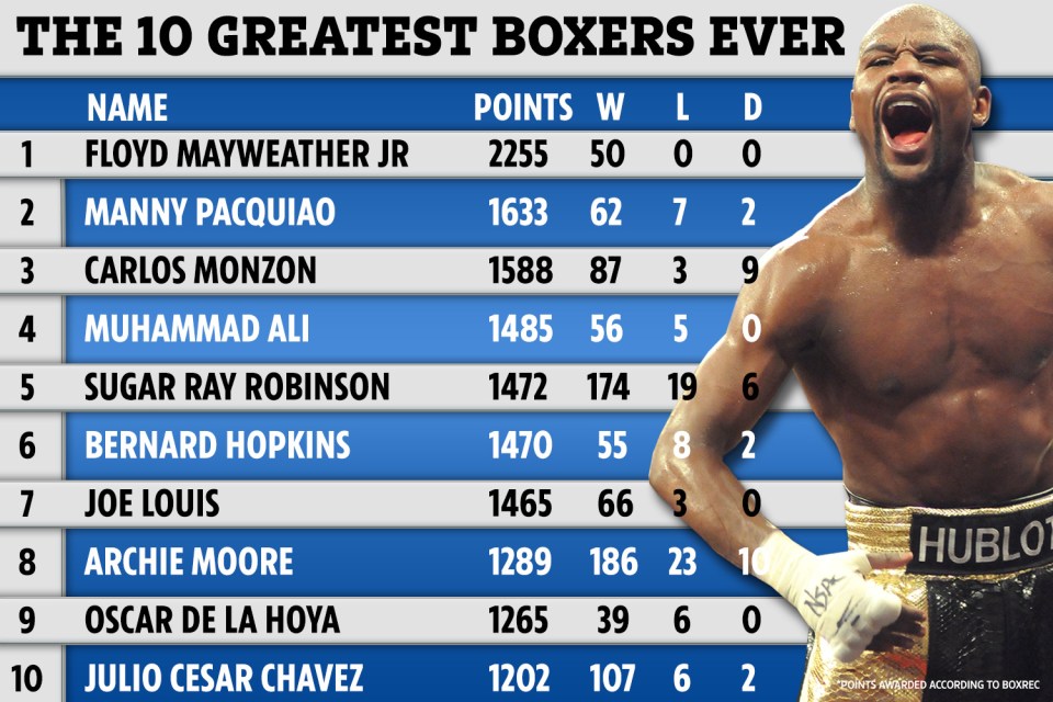 Boxer Name Guide: Discover The Boxers Biggest Wins and Losses.