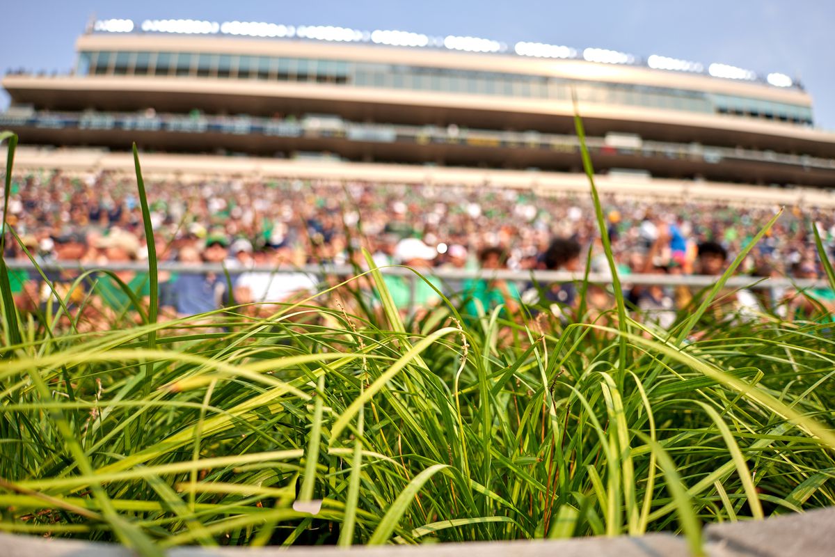 Grass or Turf: Whats the Surface of Notre Dame Football Field?