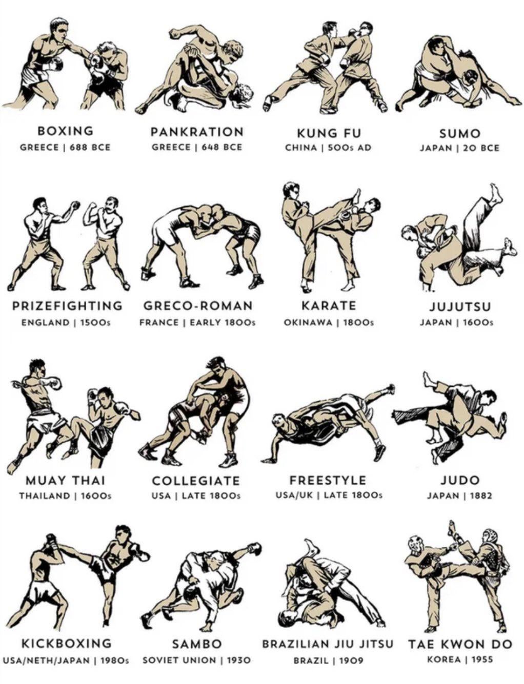 What are MMA Fighting Styles? A Quick Overview for You!